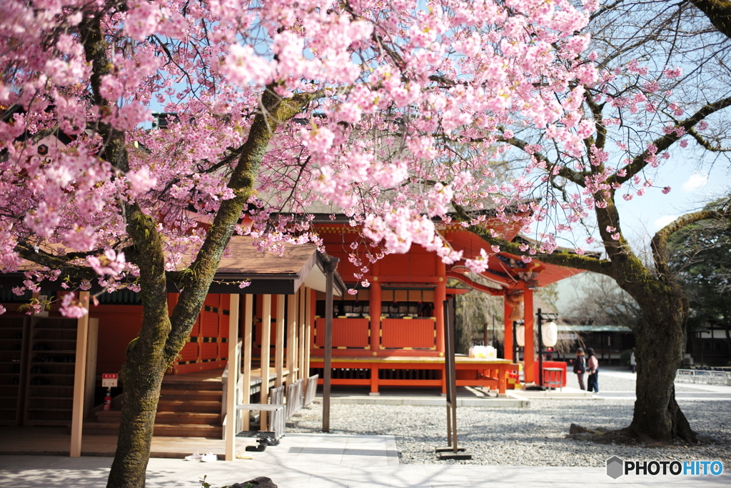 神社