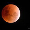 Total Lunar Eclipse @Jakarta