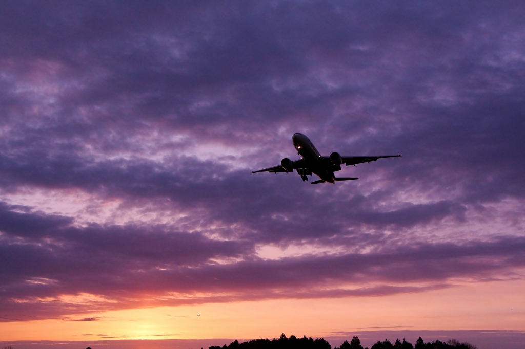 The early bird catches the worm.