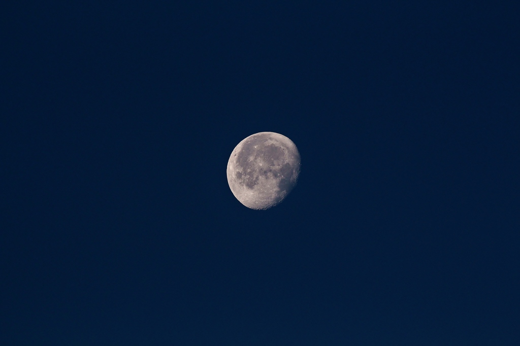 元旦の夜明けの月