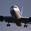 ANA'S　767-381ER