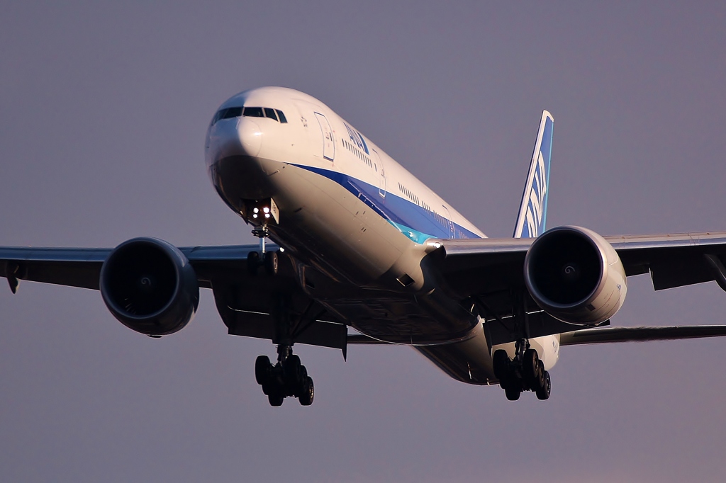 ANA'S 777-381ER