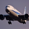 ANA'S 777-381ER