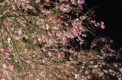 夜間撮影