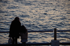 IMGP0806