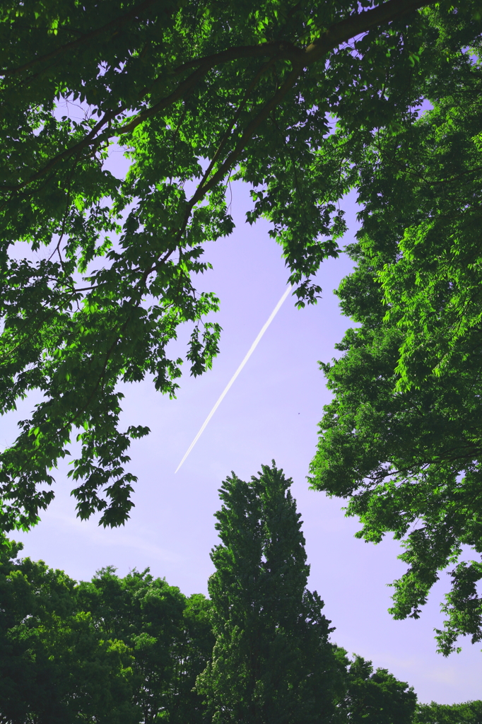 飛行機雲