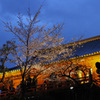 上野公園