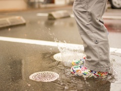 雨上がり