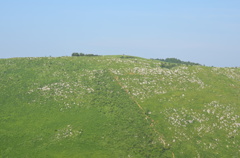 DSC_1251