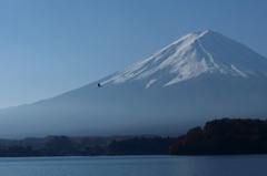 鳥　と　富士山