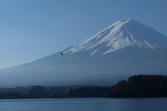 鳥　と　富士山