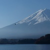 鳥　と　富士山