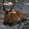 ウトウト