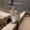 呼んだ？