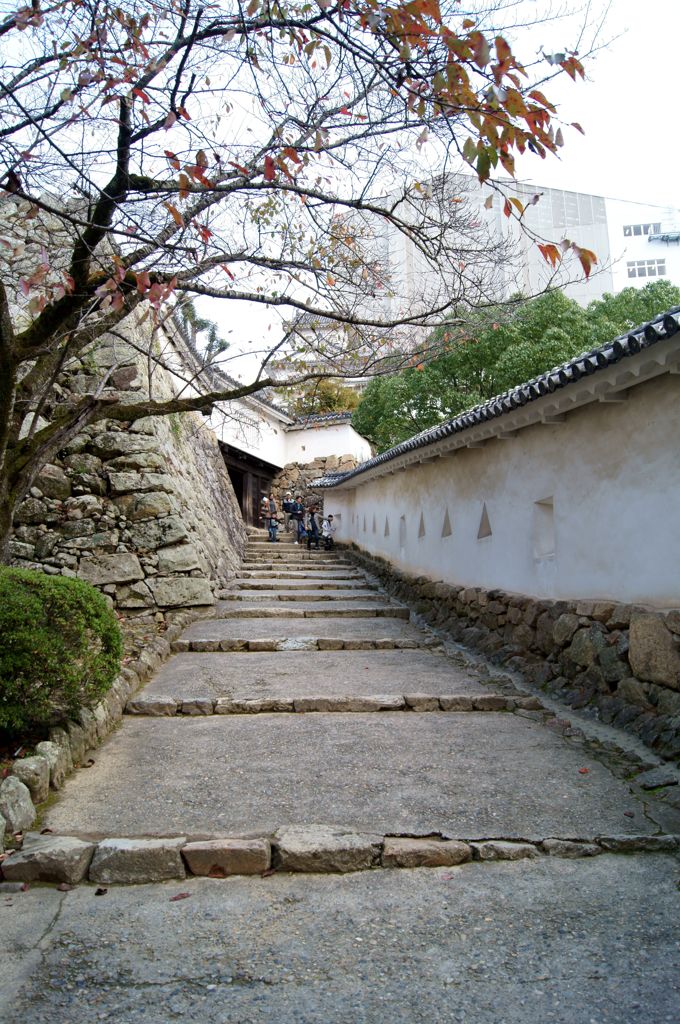 暴れん坊将軍