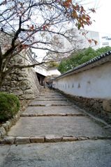 暴れん坊将軍