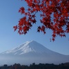 富士山　と　紅葉