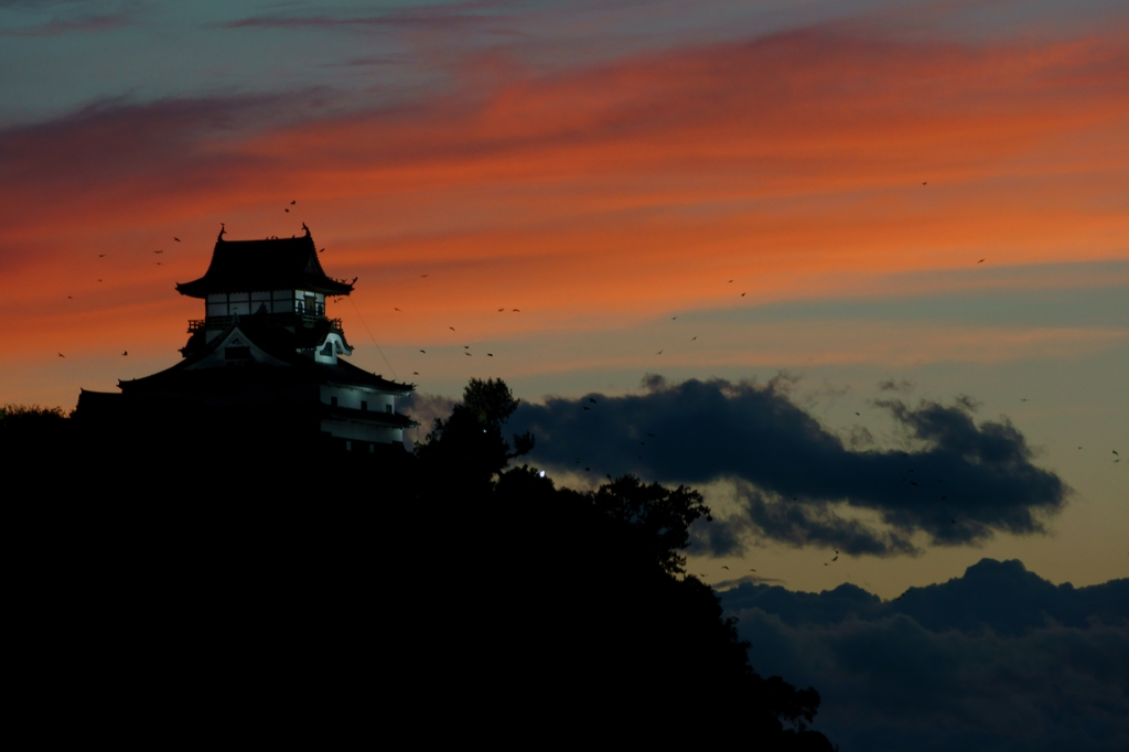 風雲犬山城