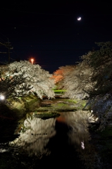 月と夜桜のツーショット