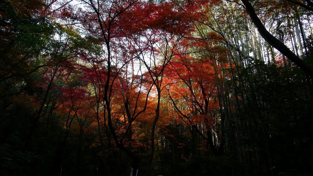 寂光院