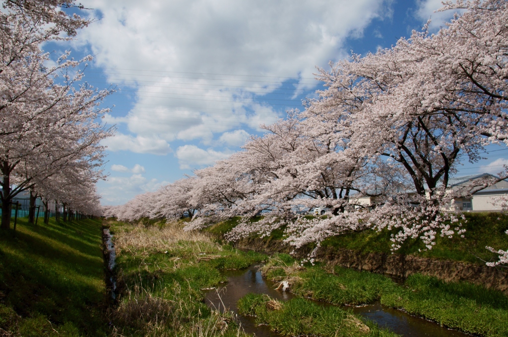 五条川