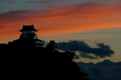 龍吐く犬山城