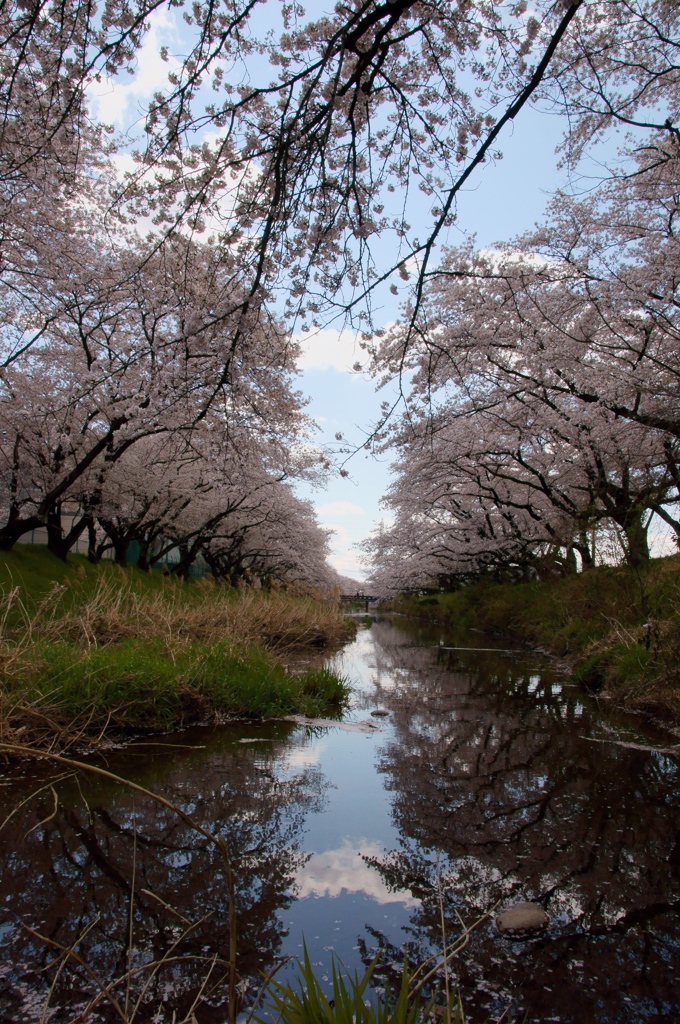 五条川