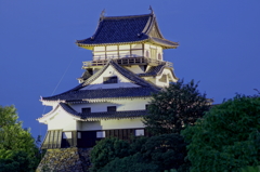 夜の犬山城