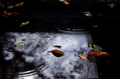雨