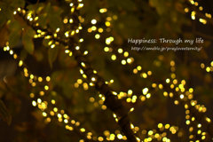 illumination2012winter_3