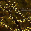 illumination2012winter_3