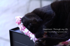 KTheL2012_2