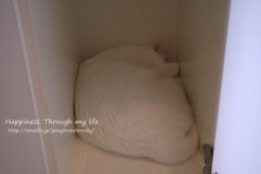 KTheL2012_5