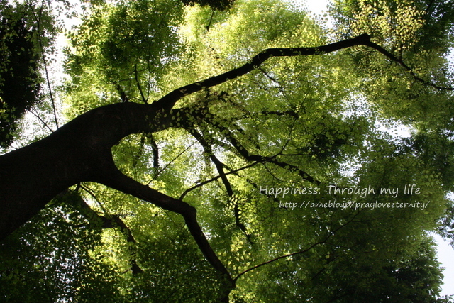 fourseasons2010_1