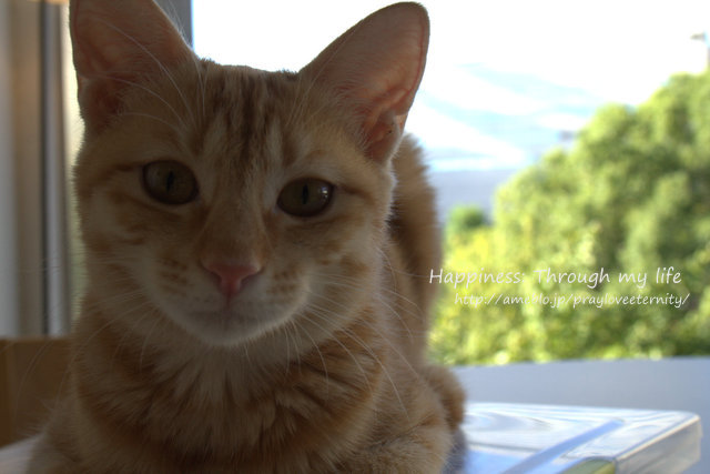 KtheL2012_4