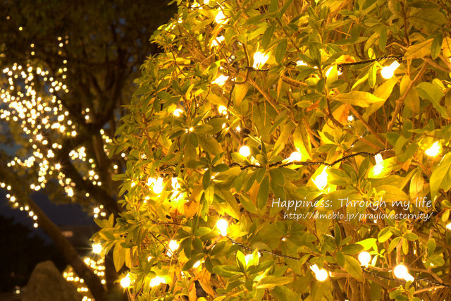 illumination2012winter_2