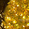 illumination2012winter_2