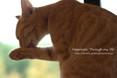 KTheL2012_1