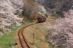 写真は難しい