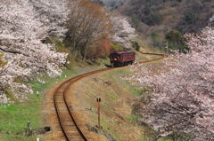 写真は難しい