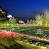 足利フラワーパーク　イルミネーション