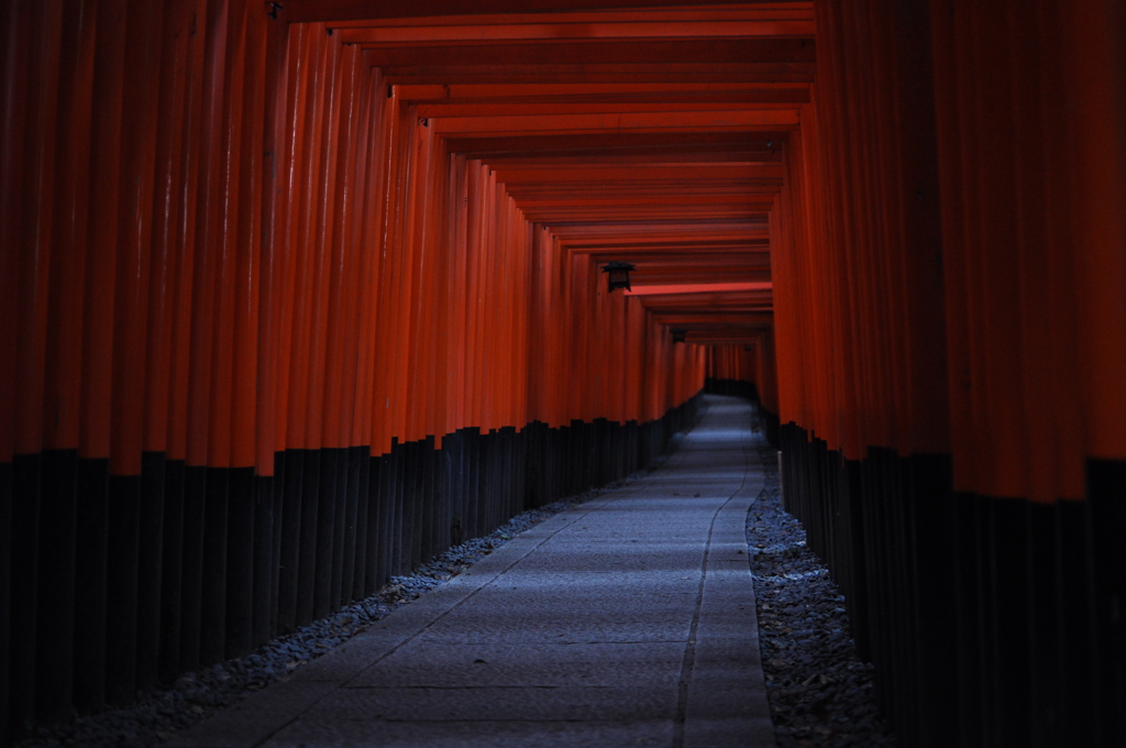 鳥居だらけ