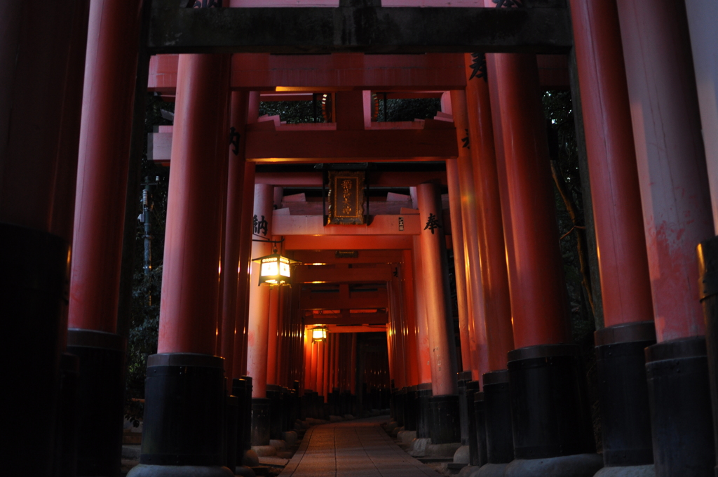 暗がりをくぐっていく