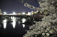 夜桜④