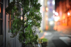 暗闇でも