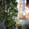 暗闇でも