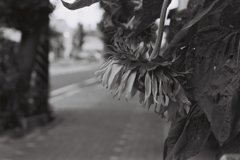 終夏