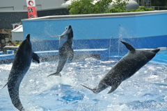 飛沫