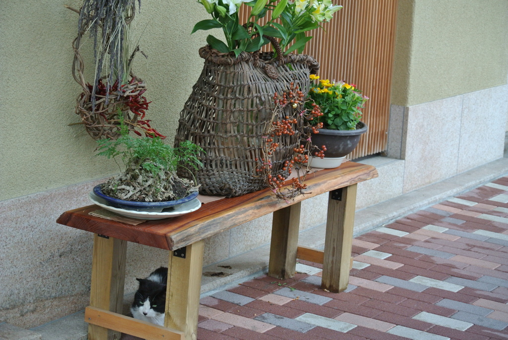 棚下