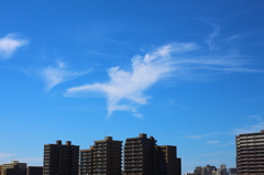 青空